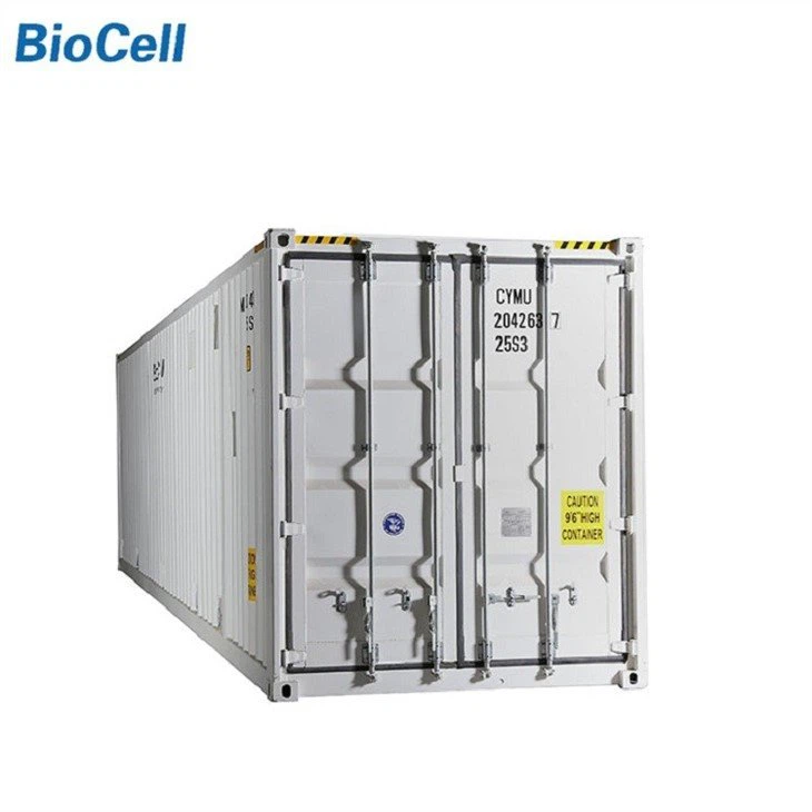 MBBR Mini Plant for Domestic Wastewater-1