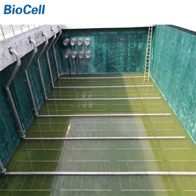 Difusors de bombolles gruixudes aigües residuals